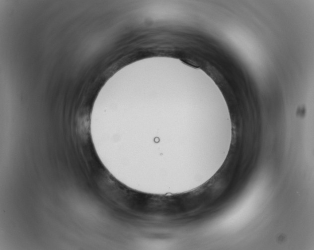 X0000101110190200807241144