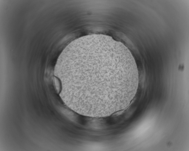 X0000101110191200807241144
