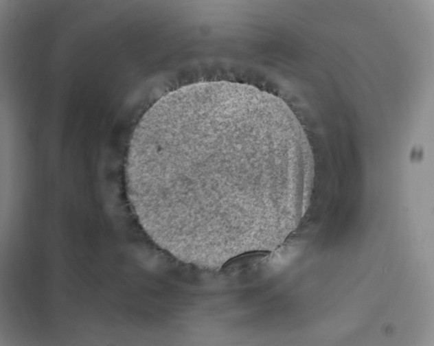 X0000101110192200807241144