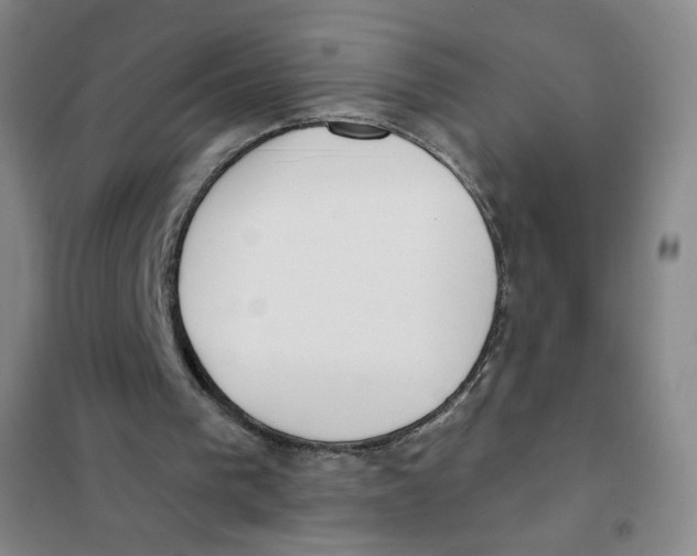 X0000101110193200807241143