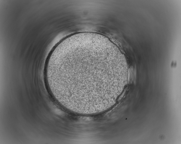 X0000101110195200807241143
