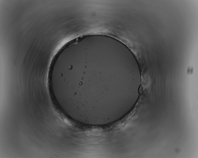 X0000101110196200807241143