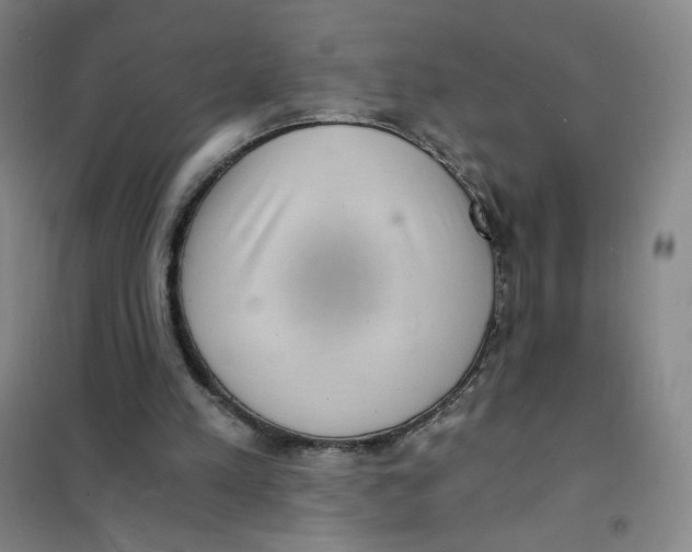 X0000101110197200807241143