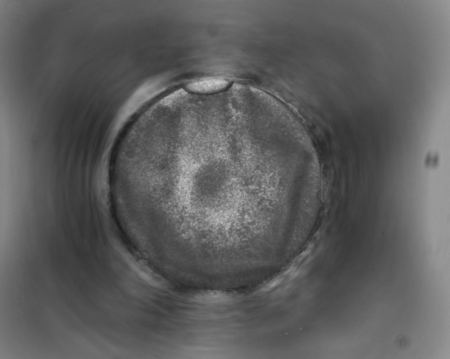 X0000101110198200807241143