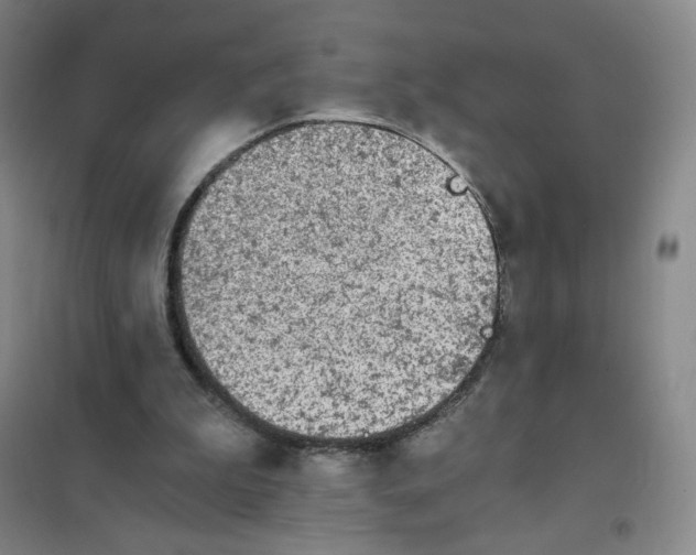 X0000101110199200807241143