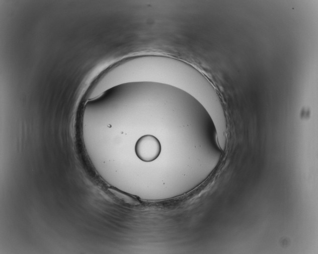 X0000101110200200807241143