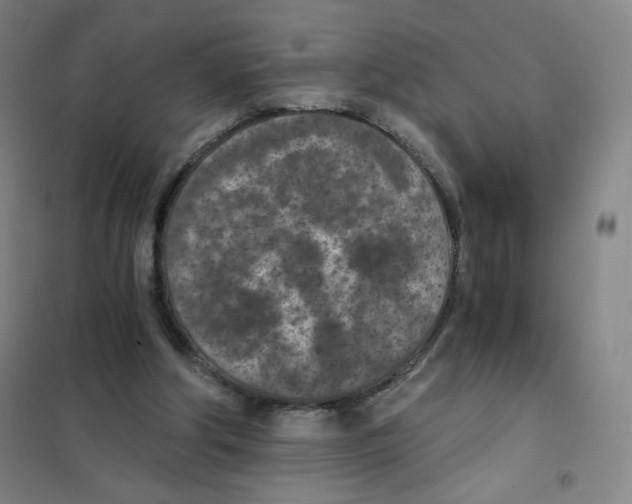 X0000101110202200807241143