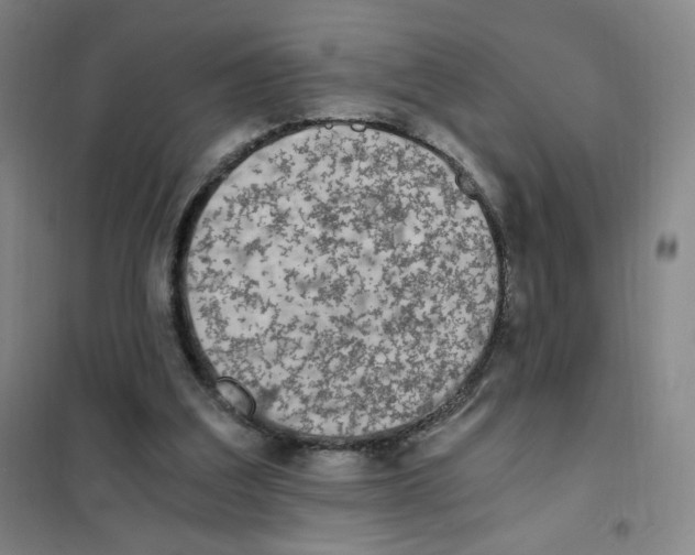 X0000101110203200807241143