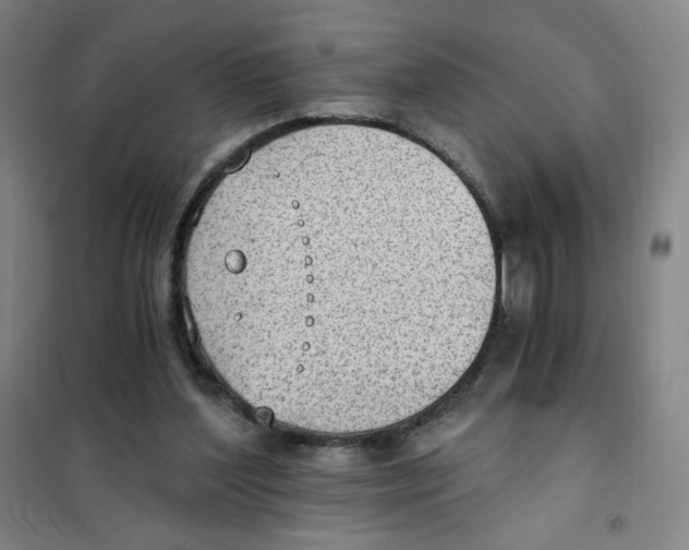 X0000101110204200807241143