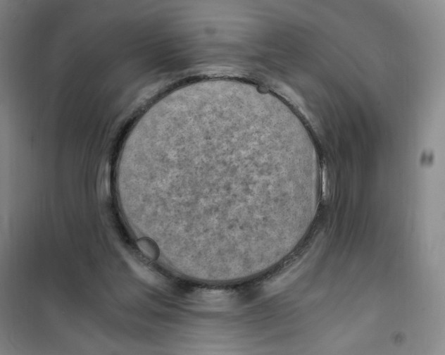 X0000101110205200807241143