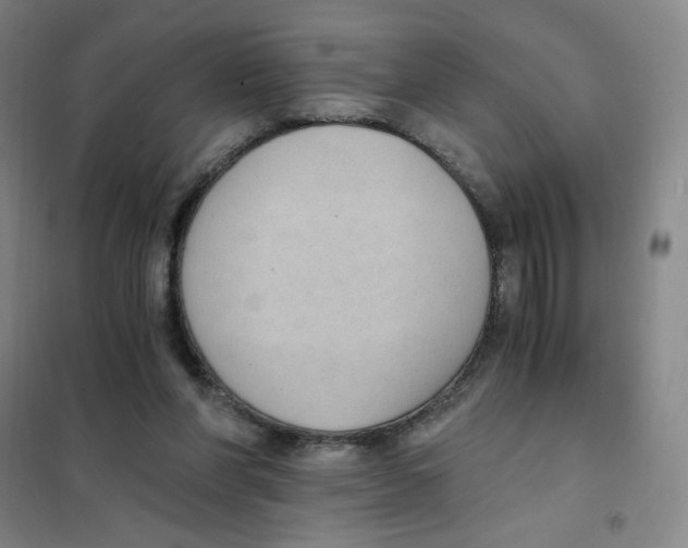X0000101110206200807241143