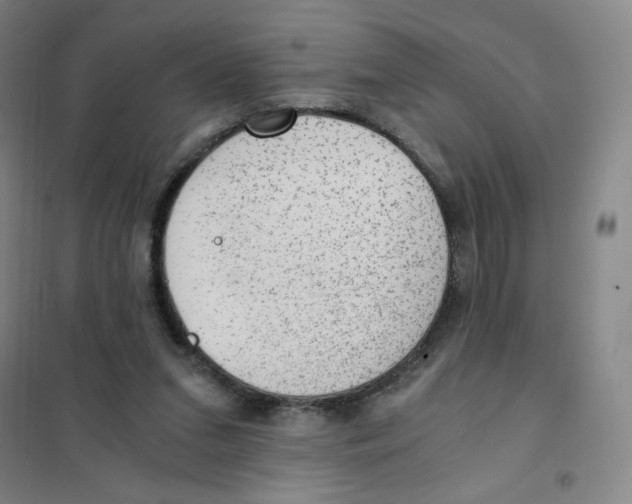 X0000101110207200807241143