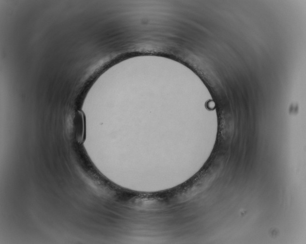 X0000101110208200807241143