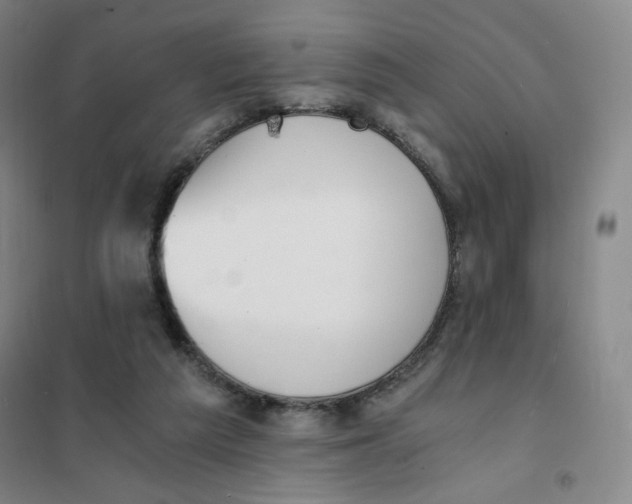 X0000101110209200807241143