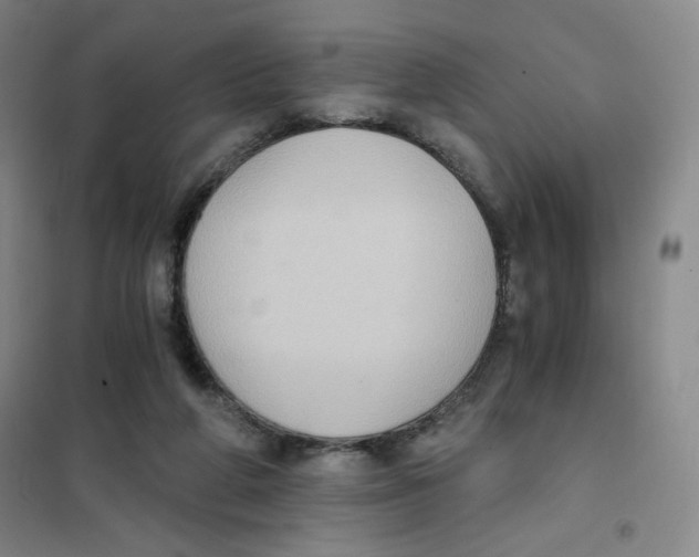 X0000101110210200807241143