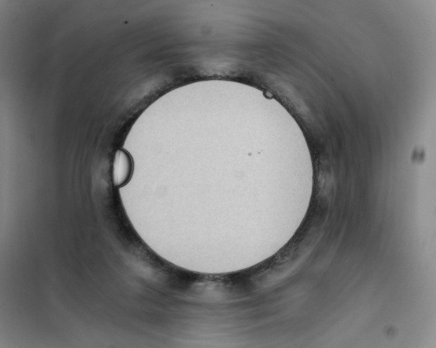 X0000101110211200807241143
