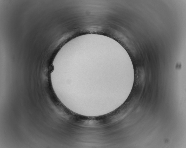 X0000101110212200807241143