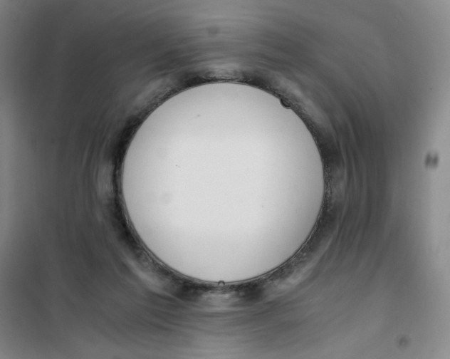 X0000101110213200807241143