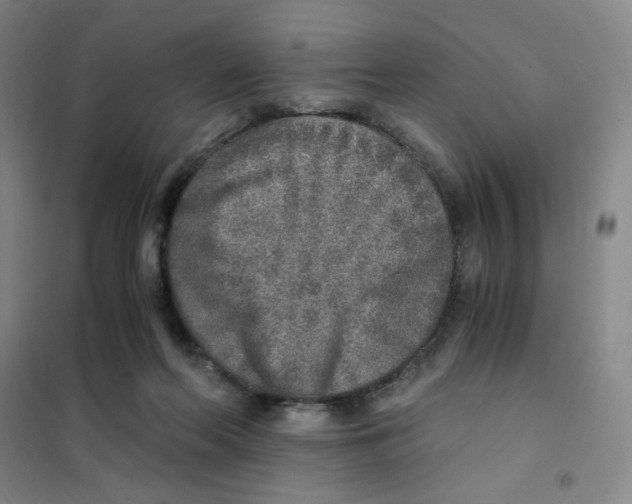 X0000101110214200807241143