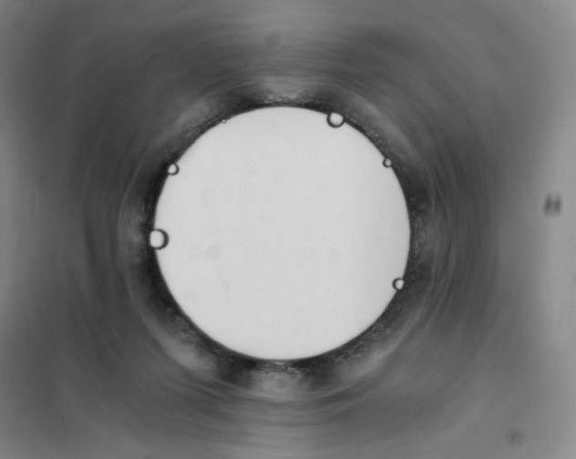 X0000101110215200807241143