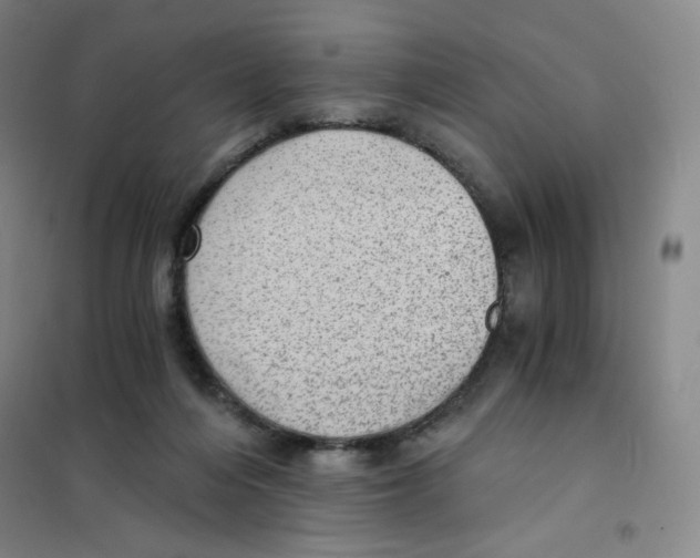 X0000101110216200807241143