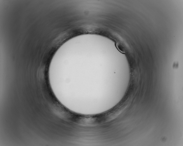 X0000101110217200807241143