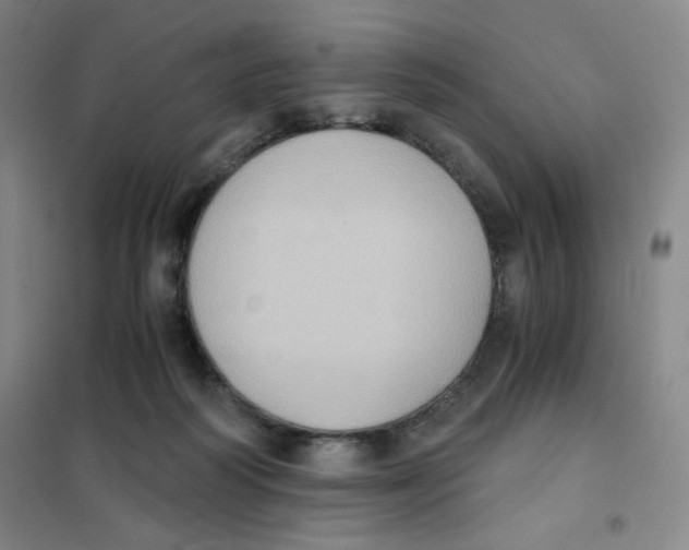 X0000101110218200807241143