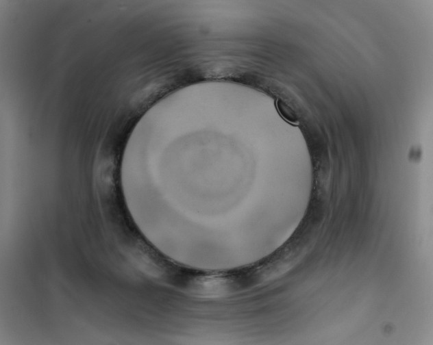 X0000101110219200807241143