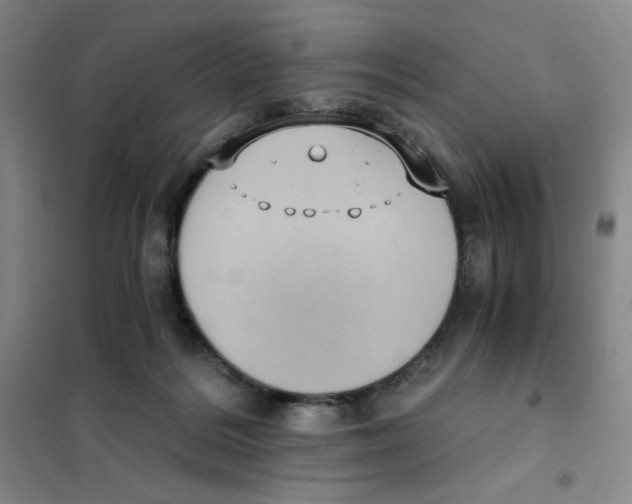 X0000101110220200807241143
