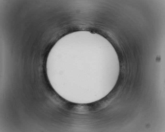 X0000101110221200807241143