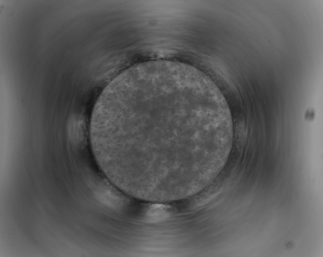 X0000101110222200807241143