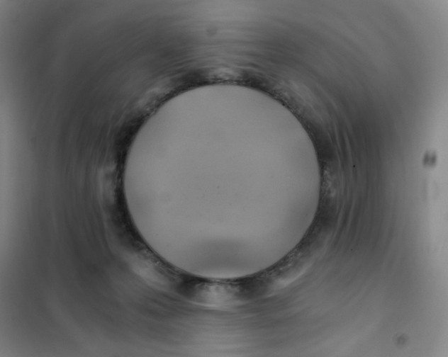 X0000101110223200807241143