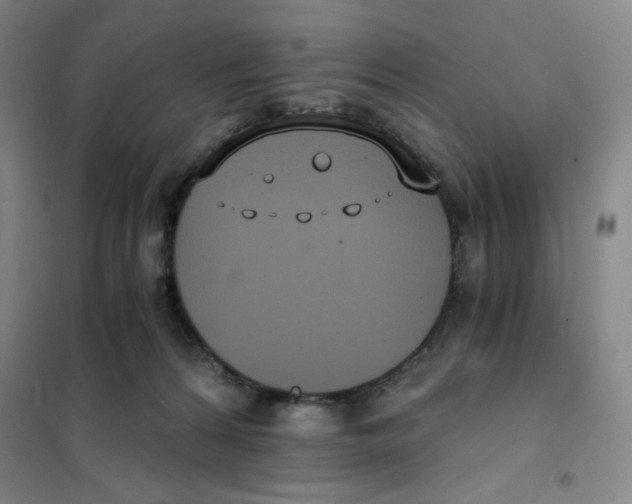 X0000101110224200807241143