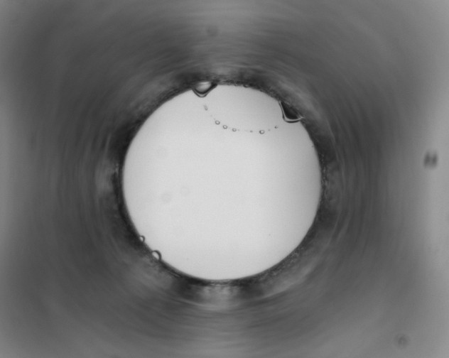 X0000101110225200807241143