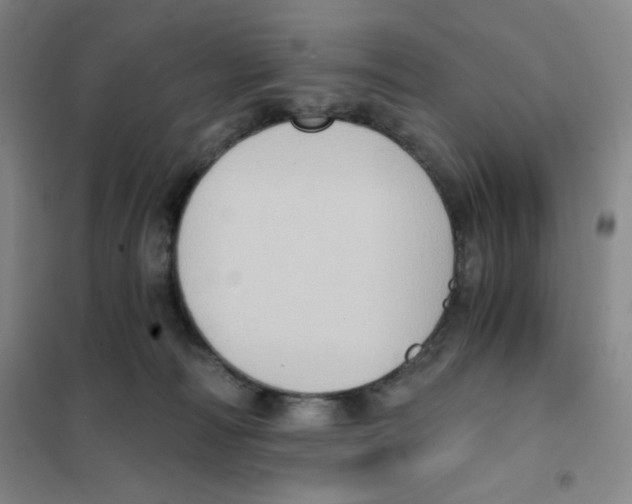 X0000101110226200807241143