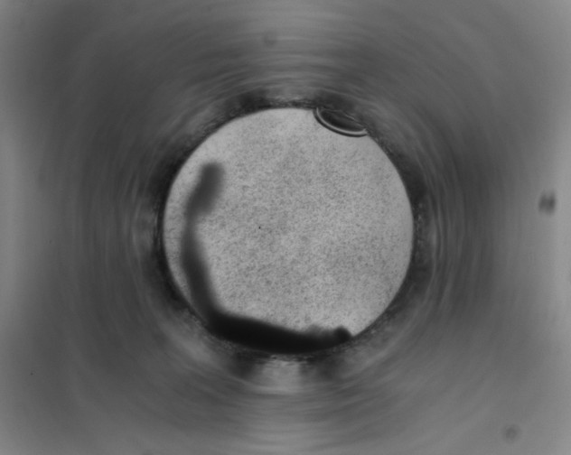 X0000101110227200807241143