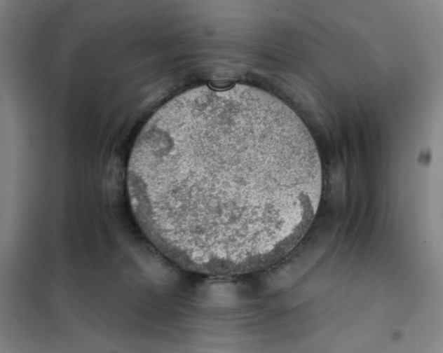 X0000101110228200807241143