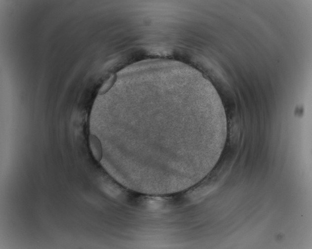 X0000101110229200807241143