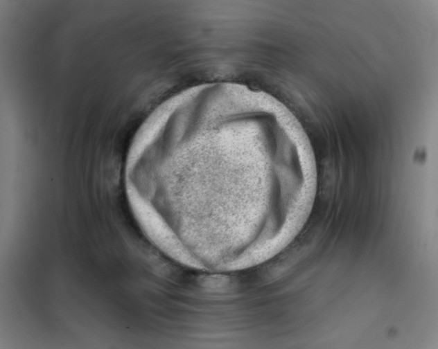 X0000101110230200807241143