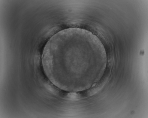 X0000101110231200807241143
