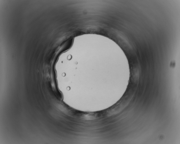X0000101110232200807241143