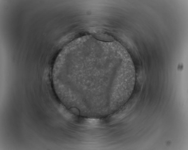 X0000101110233200807241143