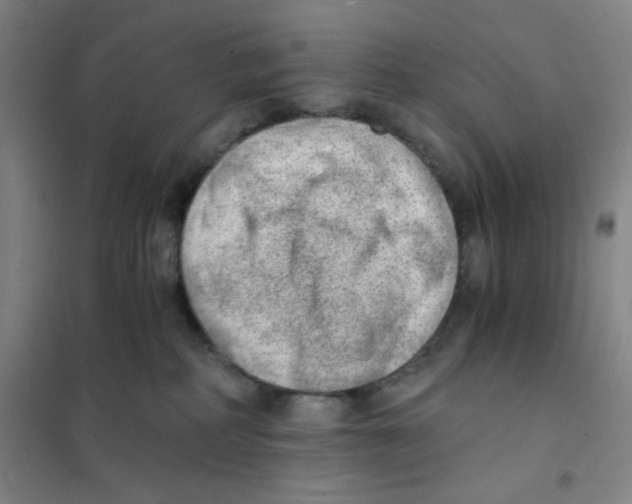 X0000101110234200807241143
