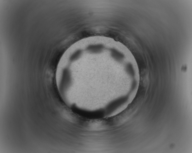 X0000101110235200807241143