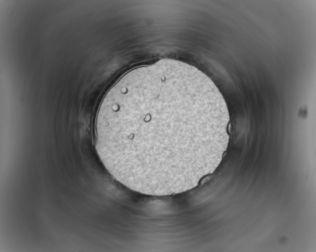 X0000101110236200807241143