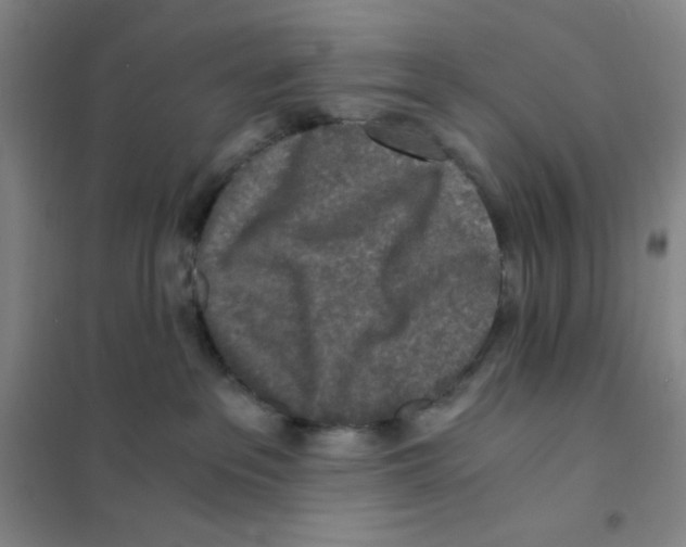 X0000101110237200807241143
