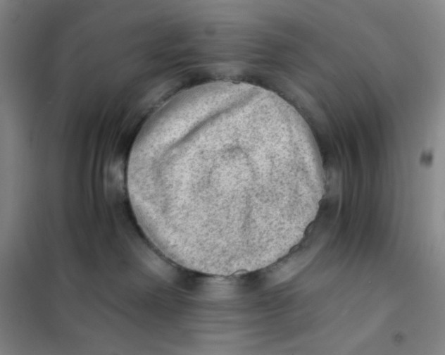 X0000101110238200807241143