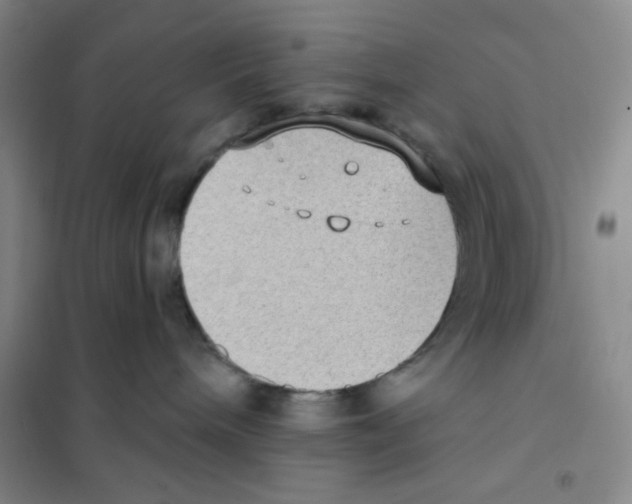 X0000101110240200807241143