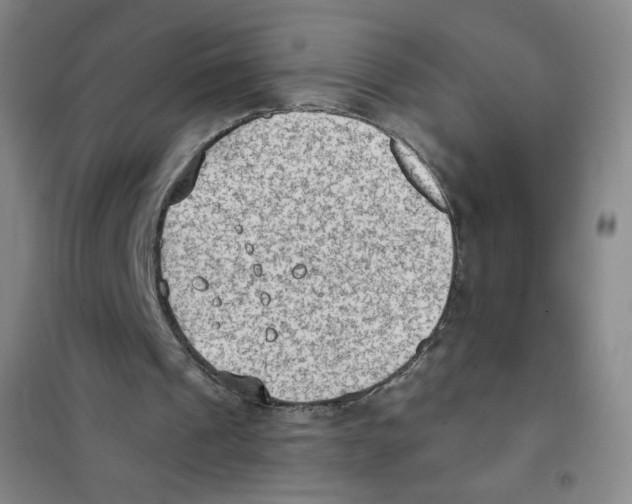 X0000101110241200807241142