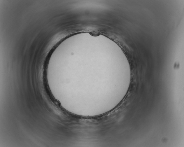 X0000101110242200807241142